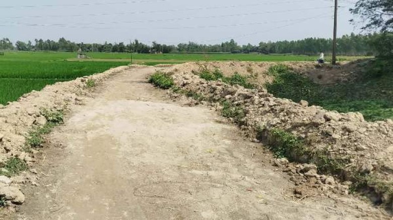 মির্জাপুরের সিংজুরী বিলের সেতু থেকে বর্ধনপাড়া রাস্তা, পাকারক